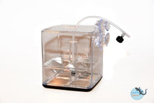 Load image into Gallery viewer, GL-1 - Breedingbox - Perfect for breeding fish