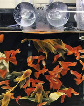 Load image into Gallery viewer, Sieve 0,1 - SF-01 - ZissAqua