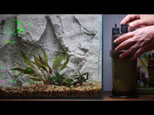 Load and play video in Gallery viewer, ZC-11 Co2 generator