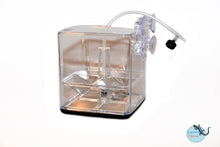Load image into Gallery viewer, GL-1 - Breedingbox - Perfect for breeding fish
